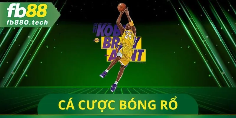 Cá Cược Bóng Rổ