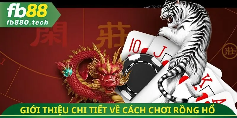 Giới thiệu chi tiết về cách chơi rồng hổ